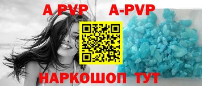 стаф Можга
