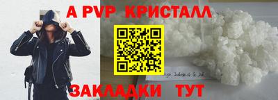 стаф Можга