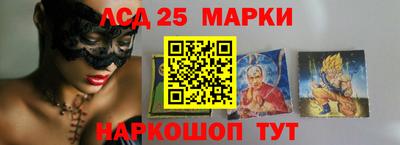 стаф Можга