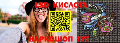 стаф Можга