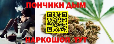 стаф Можга
