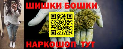 стаф Можга