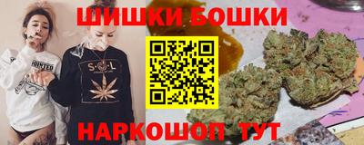стаф Можга
